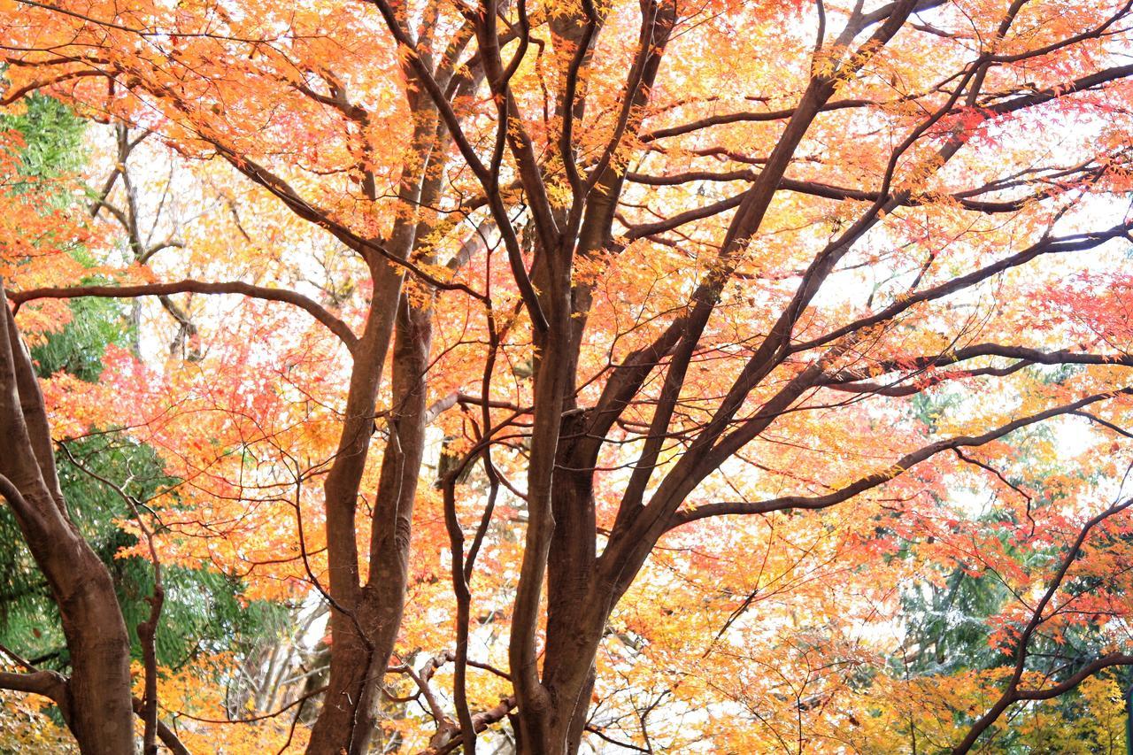 Отель Shomarutoge Garden House Hanno Экстерьер фото